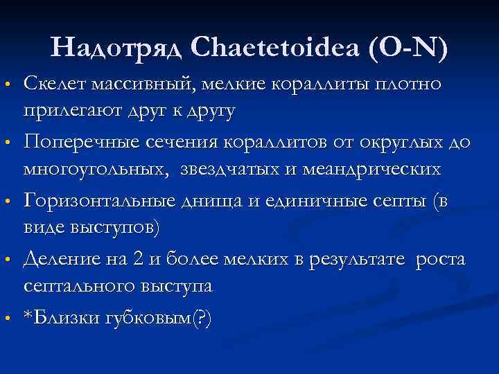 Надотряд Chaetetoidea (O-N) • • • Скелет массивный, мелкие кораллиты плотно прилегают друг к