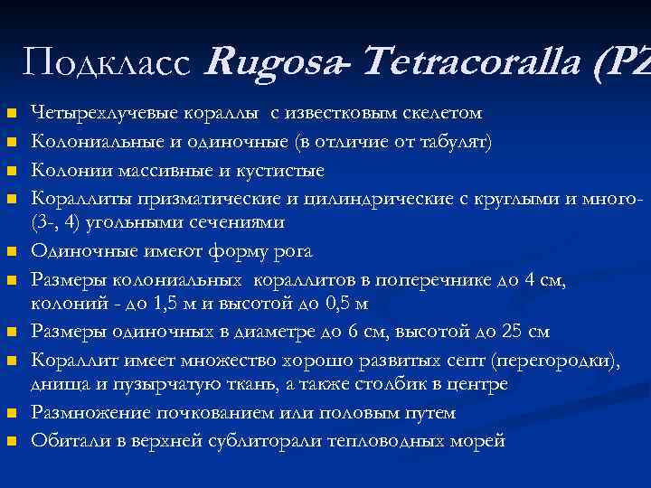 Подкласс Rugosa- Tetracoralla (PZ n n n n n Четырехлучевые кораллы с известковым скелетом