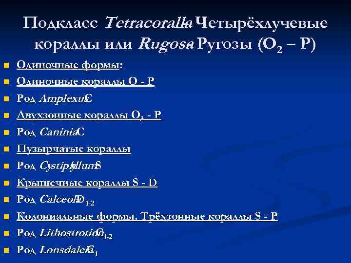 Подкласс Tetracoralla Четырёхлучевые кораллы или Rugosa Ругозы (O 2 – P) n n n