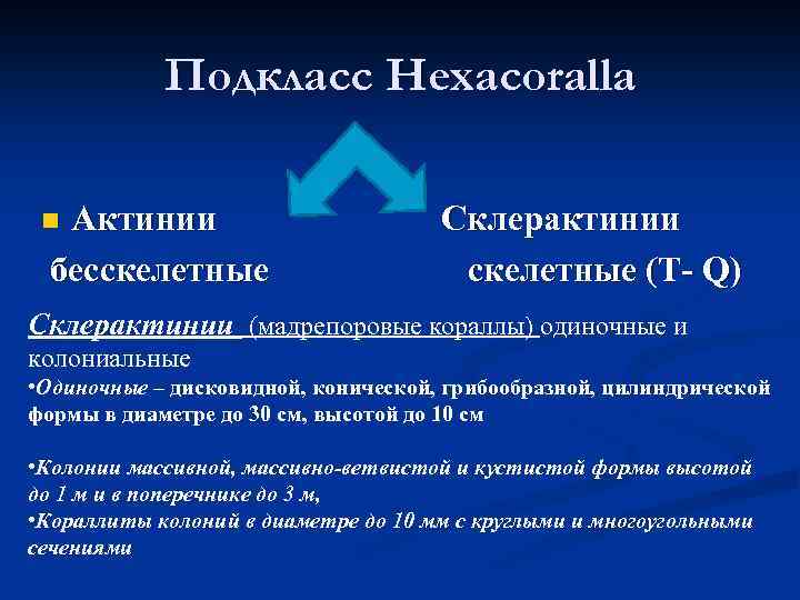 Подкласс Hexacoralla Актинии бесскелетные n Склерактинии скелетные (Т- Q) Склерактинии (мадрепоровые кораллы) одиночные и