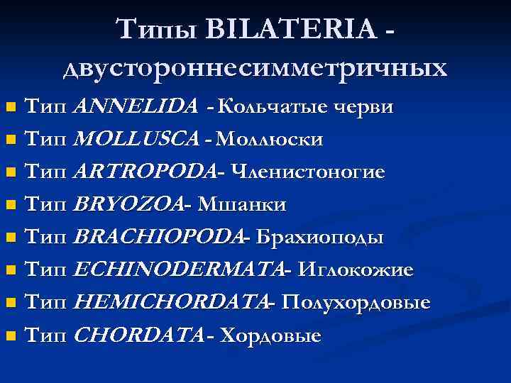 Типы BILATERIA двустороннесимметричных Тип ANNELIDA - Кольчатые черви n Тип MOLLUSCA - Моллюски n