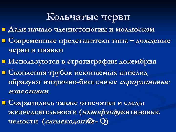 Кольчатые черви Дали начало членистоногим и моллюскам n Современные представители типа – дождевые черви