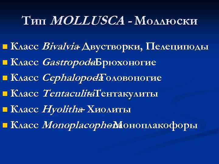 Тип MOLLUSCA - Моллюски n Класс Bivalvia Двустворки, Пелециподы n Класс Gastropoda. Брюхоногие n