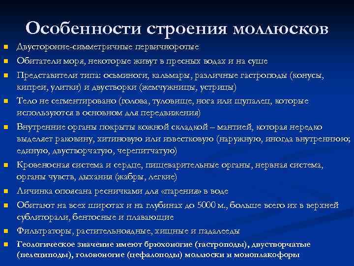 Особенности строения моллюсков n n n n n Двусторонне-симметричные первичноротые Обитатели моря, некоторые живут