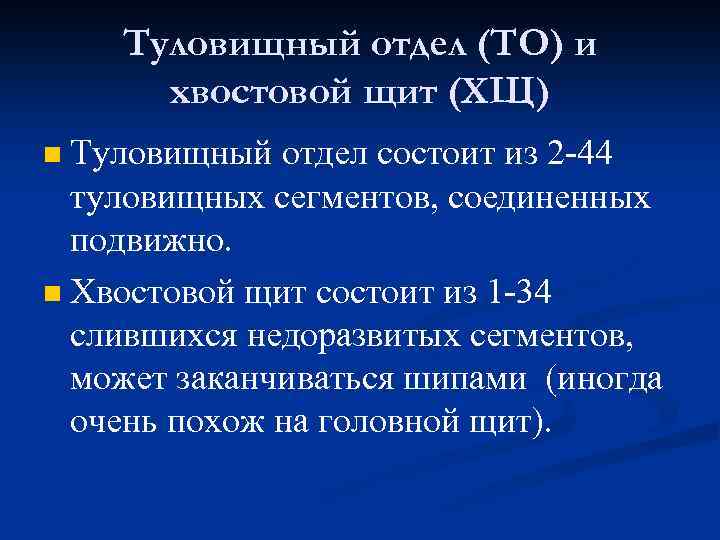 Туловищный отдел (ТО) и хвостовой щит (ХЩ) Туловищный отдел состоит из 2 -44 туловищных