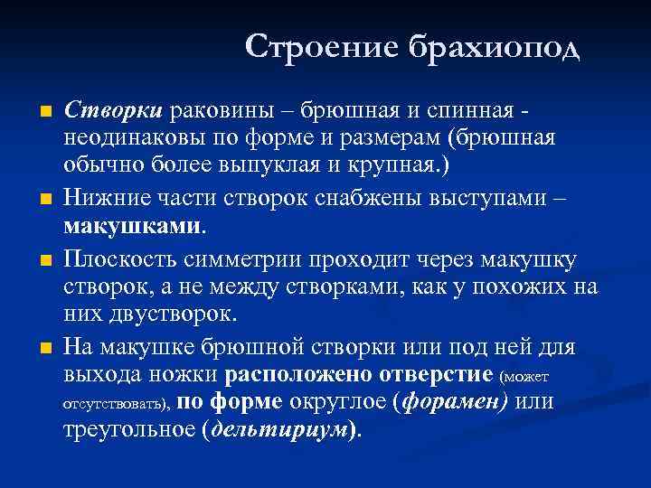 Строение брахиопод n n Створки раковины – брюшная и спинная неодинаковы по форме и