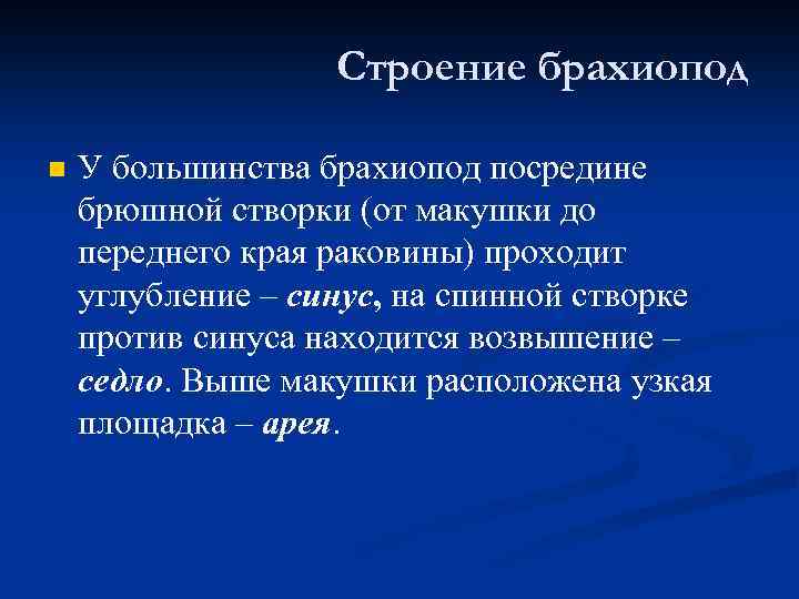 Строение брахиопод n У большинства брахиопод посредине брюшной створки (от макушки до переднего края