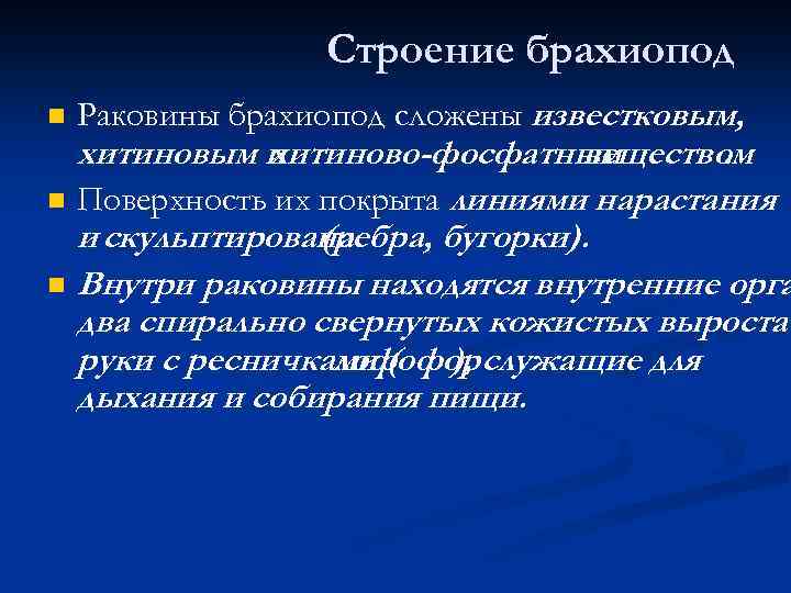 Строение брахиопод n n Раковины брахиопод сложены известковым, хитиновым и хитиново-фосфатным веществом. Поверхность их