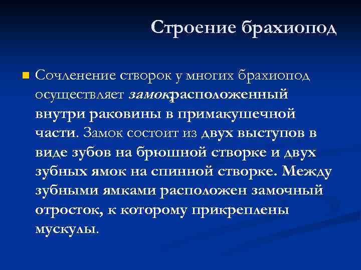 Строение брахиопод n Сочленение створок у многих брахиопод осуществляет замок, расположенный внутри раковины в