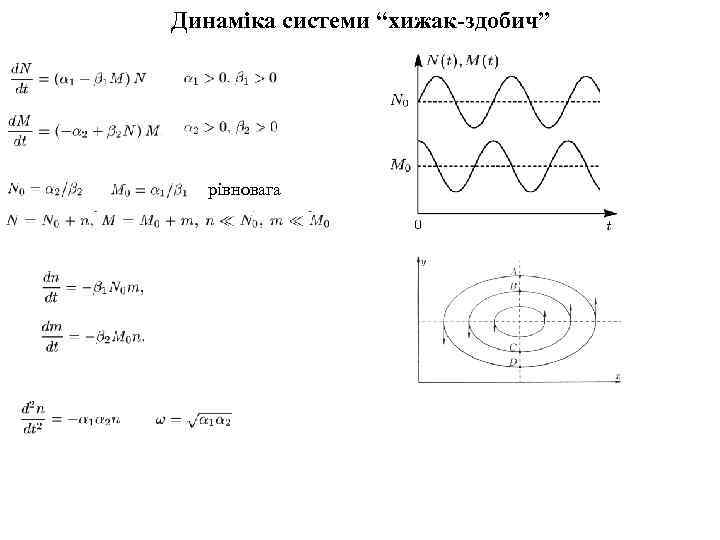 Динаміка системи “хижак-здобич” рівновага 