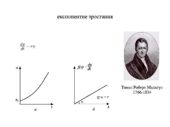 експонентне зростання Томас Роберт Мальтус 1766 -1834 