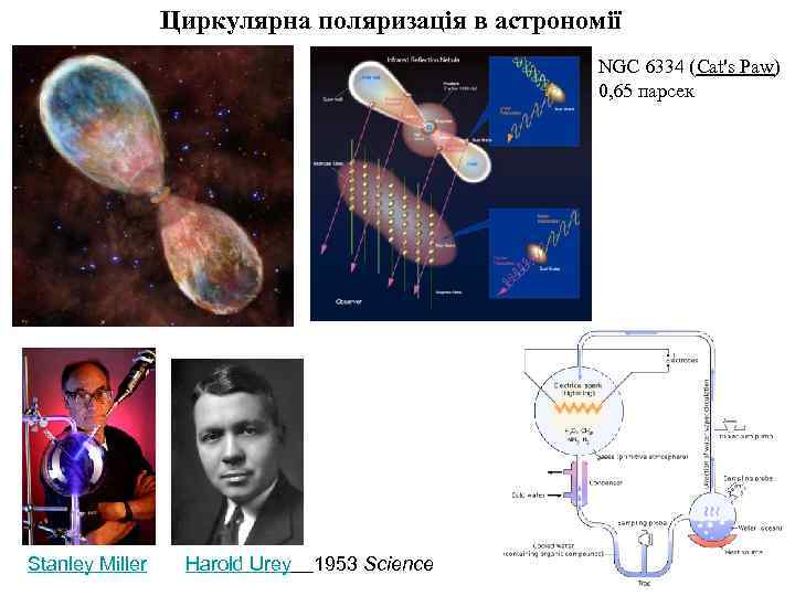 Циркулярна поляризація в астрономії NGC 6334 (Cat's Paw) 0, 65 парсек Stanley Miller Harold