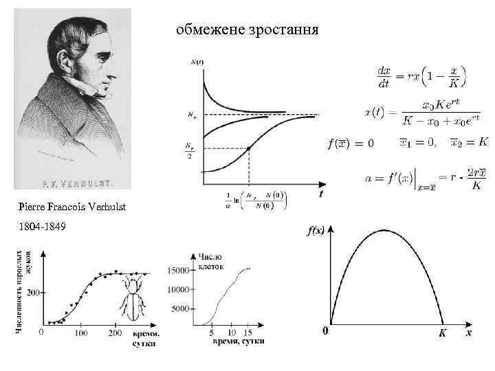 обмежене зростання Pierre Francois Verhulst 1804 -1849 