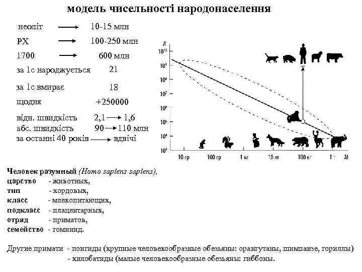модель чисельності народонаселення неоліт 10 -15 млн РХ 100 -250 млн 1700 600 млн