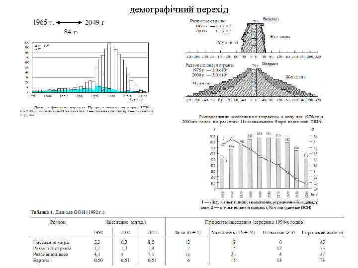 демографічний перехід 