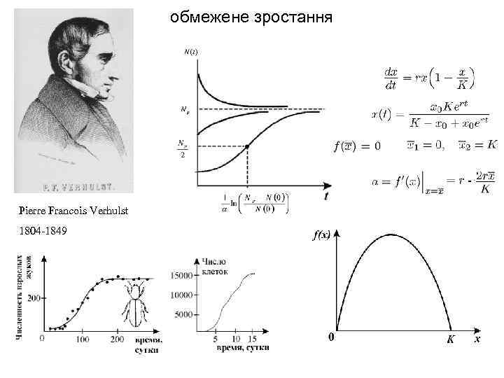 обмежене зростання Pierre Francois Verhulst 1804 -1849 