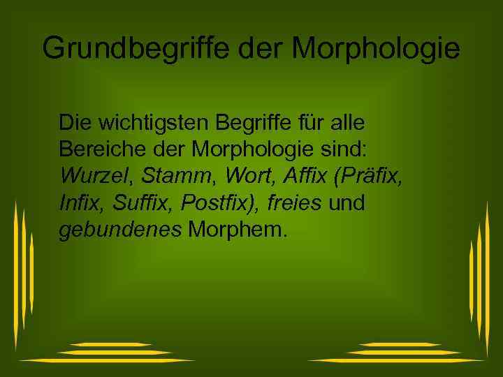 Grundbegriffe der Morphologie Die wichtigsten Begriffe für alle Bereiche der Morphologie sind: Wurzel, Stamm,