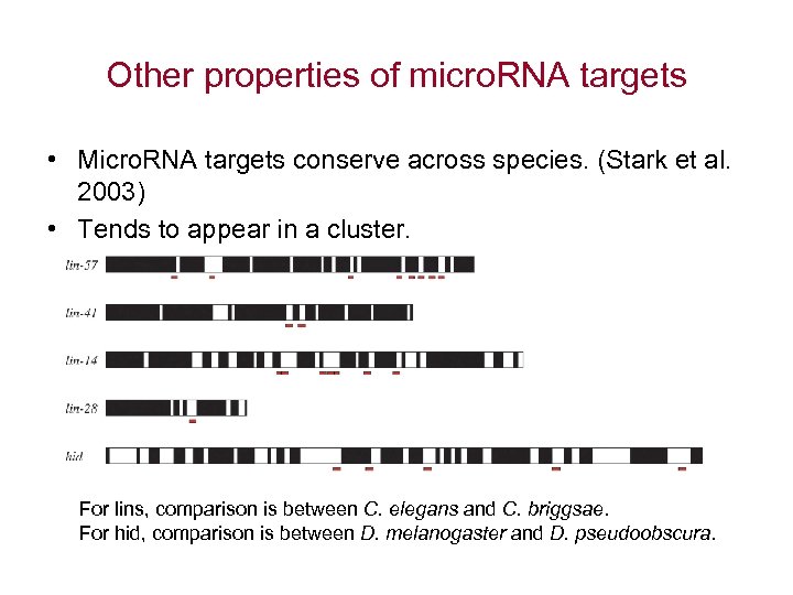 Other properties of micro. RNA targets • Micro. RNA targets conserve across species. (Stark