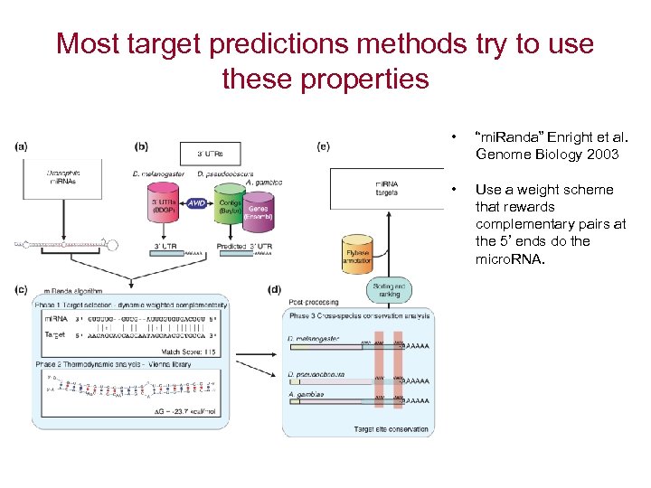 Most target predictions methods try to use these properties • “mi. Randa” Enright et