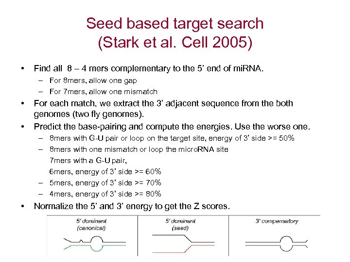 Seed based target search (Stark et al. Cell 2005) • Find all 8 –