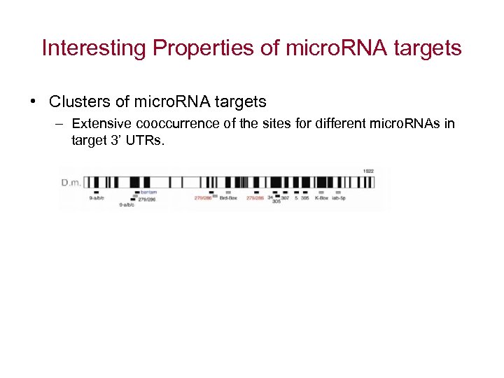 Interesting Properties of micro. RNA targets • Clusters of micro. RNA targets – Extensive