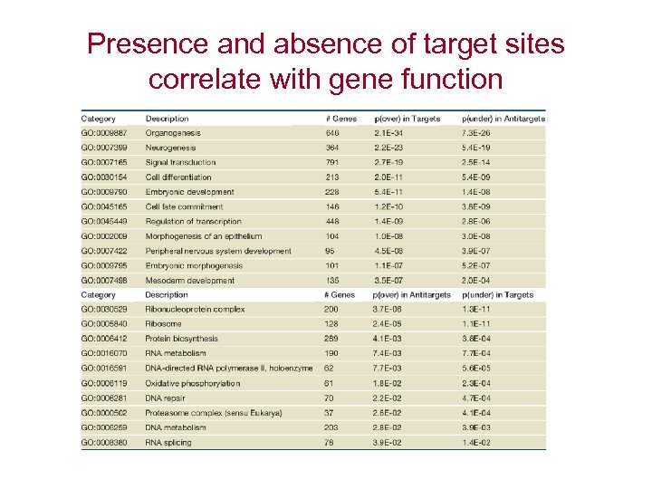 Presence and absence of target sites correlate with gene function 