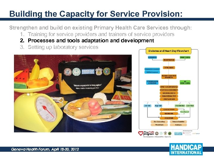 Building the Capacity for Service Provision: Strengthen and build on existing Primary Health Care