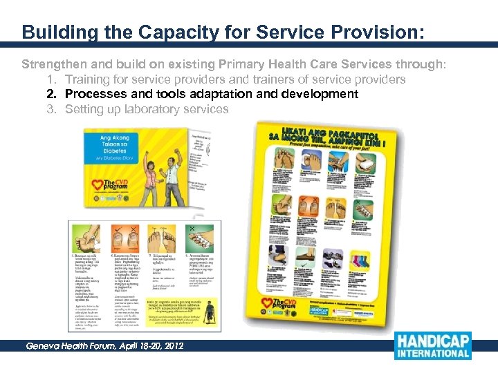 Building the Capacity for Service Provision: Strengthen and build on existing Primary Health Care