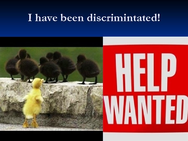 I have been discrimintated! 56 