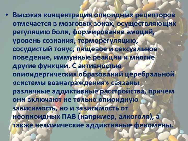  • Высокая концентрация опиоидных рецепторов отмечается в мозговых зонах, осуществляющих регуляцию боли, формирование