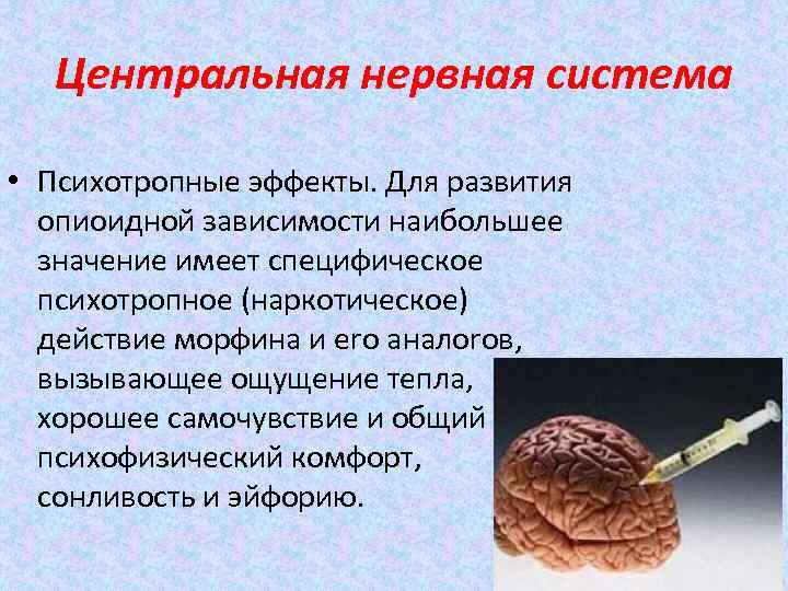 Центральная нервная система • Психотропные эффекты. Для развития опиоидной зависимости наибольшее значение имеет специфическое