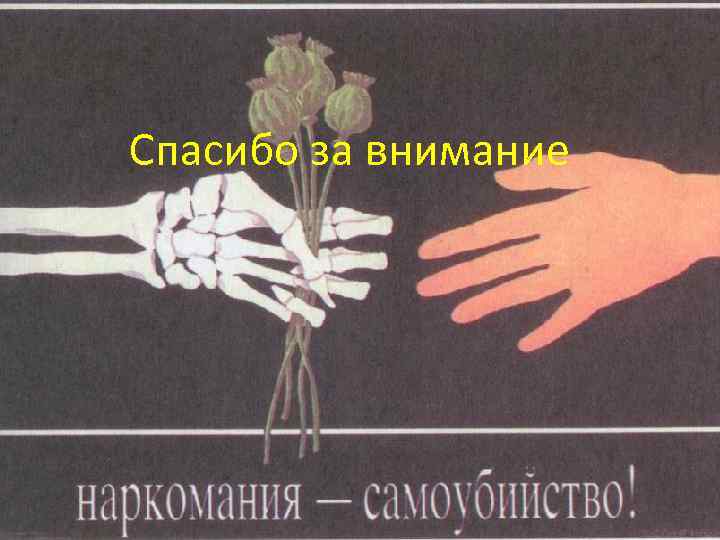 Спасибо за внимание 