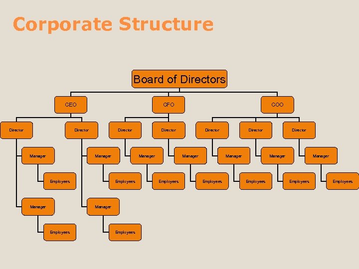 Corporate Structure Board of Directors CEO Director CFO Director Manager Employees Director Manager Employees