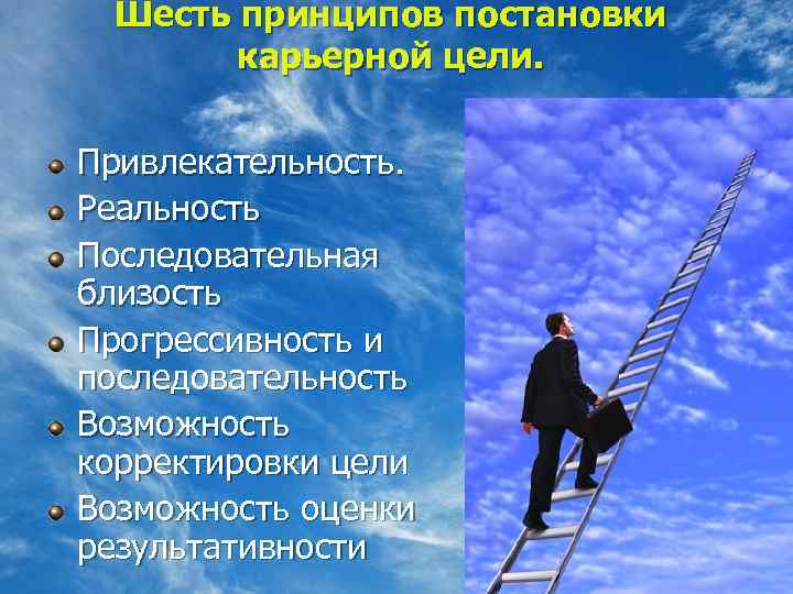 Цели карьеры. Карьерные цели. Постановка карьерных целей. Принципы управления карьерой. Принципы построения карьерных целей.