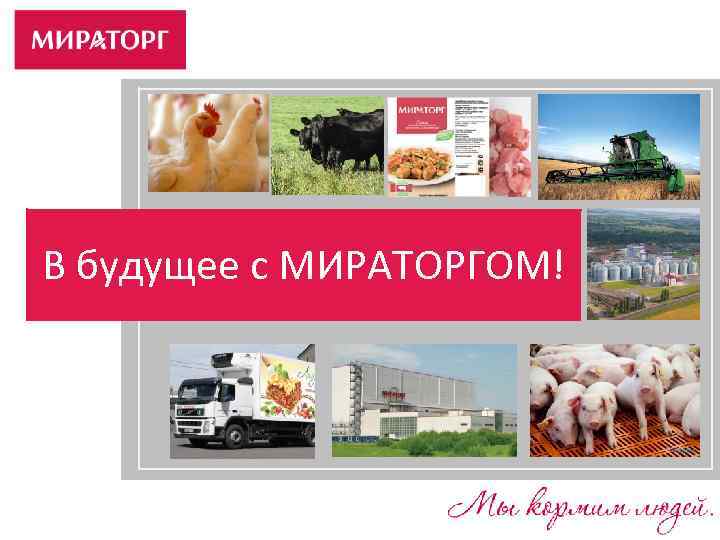 Мираторг презентация pdf