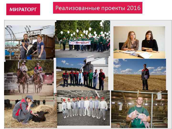 Реализованные проекты 2016 14 