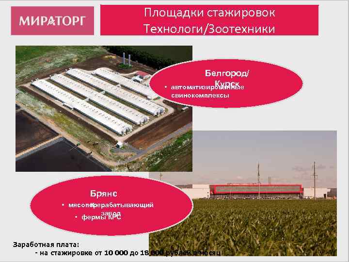 Мираторг карта покупателя