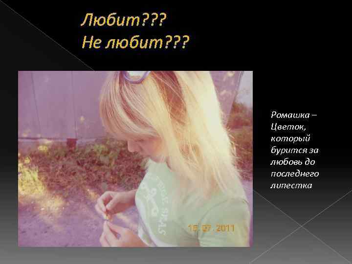 Любит? ? ? Не любит? ? ? Ромашка – Цветок, который бурится за любовь