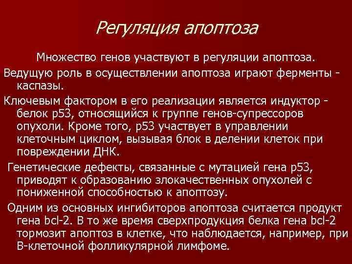 Регуляция апоптоза Множество генов участвуют в регуляции апоптоза. Ведущую роль в осуществлении апоптоза играют