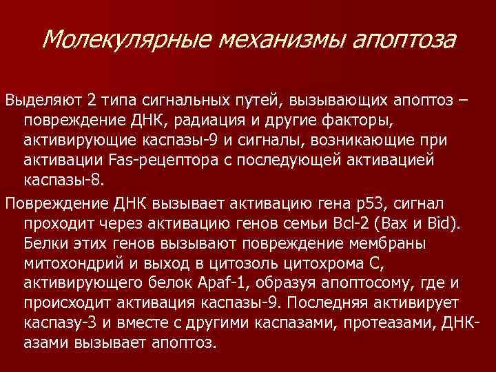 Молекулярные механизмы апоптоза Выделяют 2 типа сигнальных путей, вызывающих апоптоз – повреждение ДНК, радиация