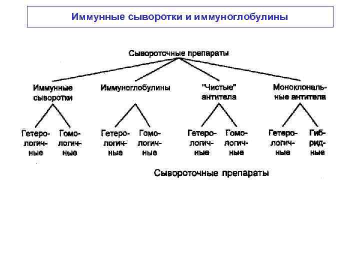 Иммунные сыворотки и иммуноглобулины 