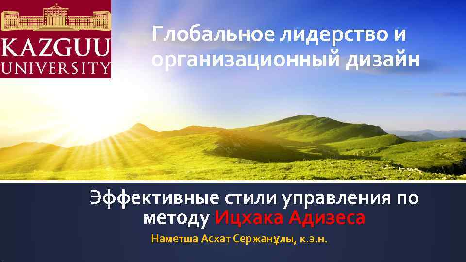 Глобальное лидерство и организационный дизайн Эффективные стили управления по методу Ицхака Адизеса Наметша Асхат