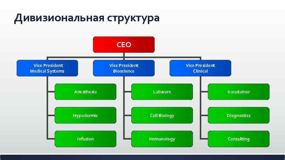 Дивизионально матричная структура