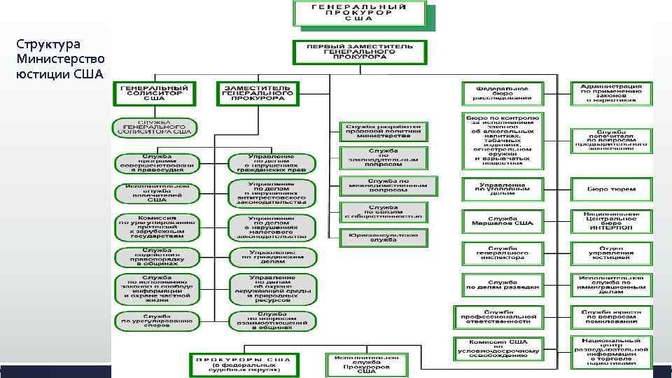 Структура Министерство юстиции США 