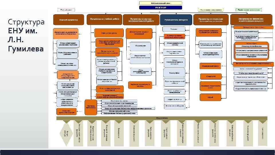 Структура ЕНУ им. Л. Н. Гумилева 