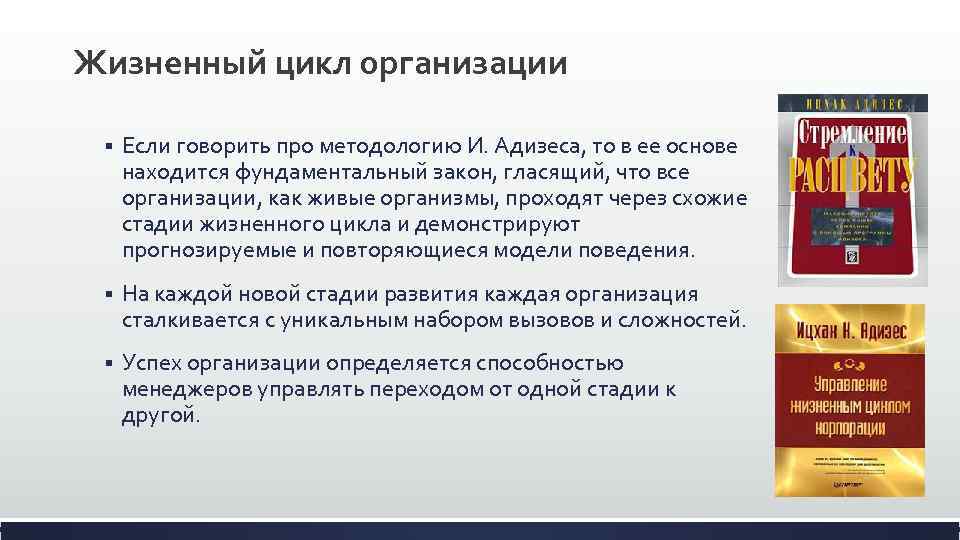 Жизненный цикл организации § Если говорить про методологию И. Адизеса, то в ее основе