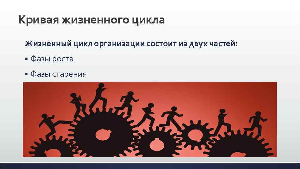 Кривая жизненного цикла Жизненный цикл организации состоит из двух частей: § Фазы роста §