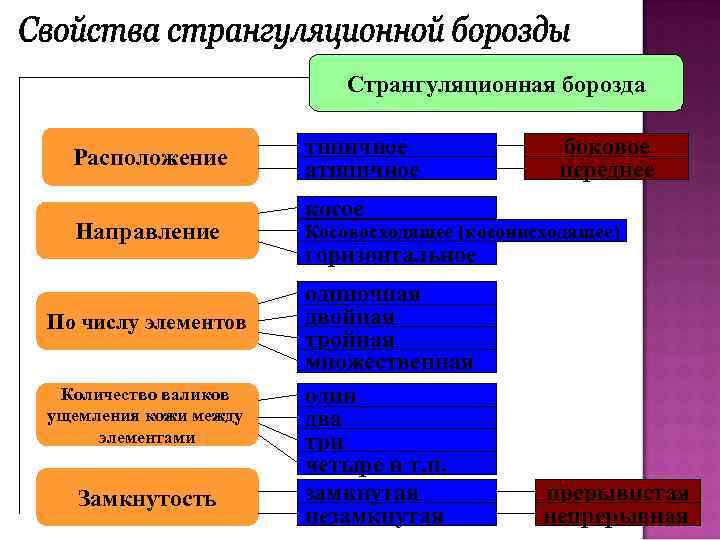 Странгуляционная борозда фото