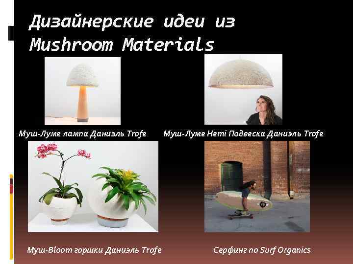 Дизайнерские идеи из Mushroom Materials Муш-Луме лампа Даниэль Trofe Муш-Bloom горшки Даниэль Trofe Муш-Луме