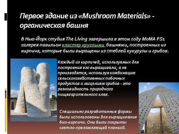 Первое здание из «Mushroom Materials» - органическая башня В Нью-Йорк студия The Living завершила